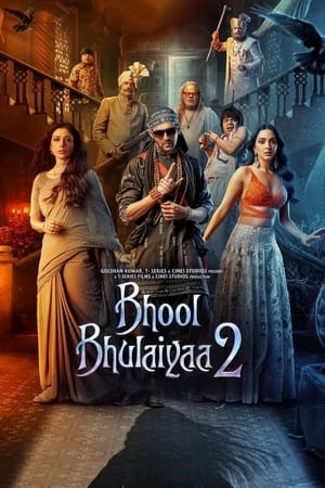 Bhool Bhulaiyaa 2 (2022)